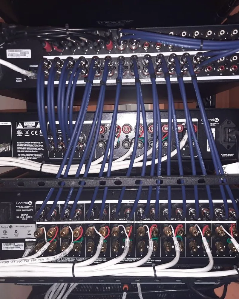 Blue patch cables in tidy rows across a network switch